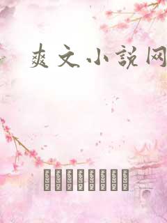 爽文小说网址