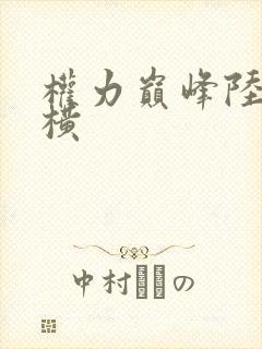 权力巅峰陆皓纵横