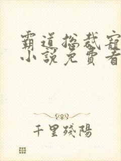 霸道总裁宠上天小说免费看