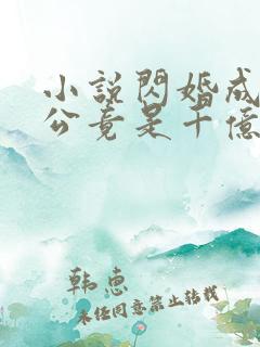 小说闪婚成宠老公竟是千亿大佬免费阅读