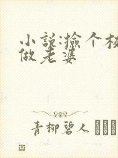 小说:捡个校花做老婆