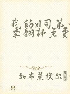 我的xl司第一季翻译免费观看