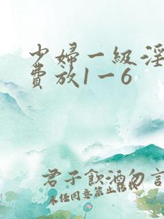 少妇一级淫片免费放1一6