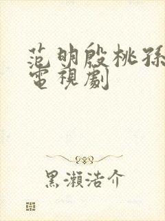 范明殷桃孙艺洲电视剧