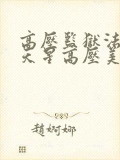 高压监狱法国满天星高压美版免费