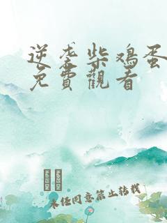 逆袭柴鸡蛋网剧免费观看