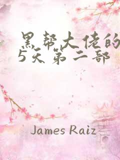 黑帮大佬的365天第二部