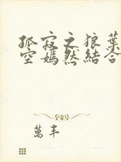 孤寂之狼叶凡司空嫣然结合