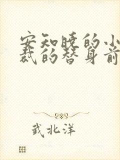 安知晓的小说总裁的替身前妻