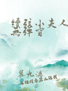 续弦小夫人小说无弹窗