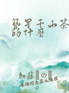 簪星千山茶客讲的什么