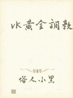 vk黄金调教