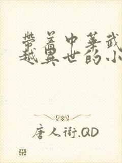 带着中华武学穿越异世的小说