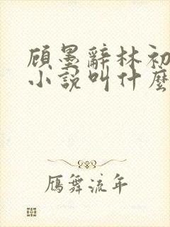 顾墨辞林初替身小说叫什么名字