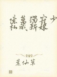 亿万独宠少主的私藏新娘