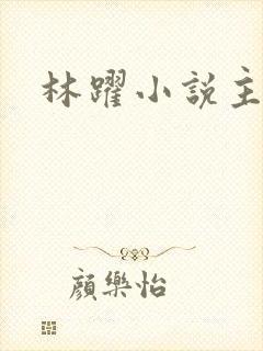 林跃小说主角