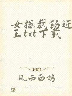 女总裁的近身兵王txt下载