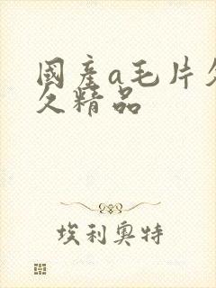 国产a毛片久久久精品