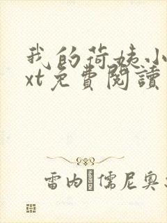 我的荷姨小说txt免费阅读