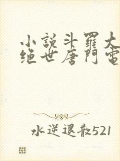 小说斗罗大陆2绝世唐门电子书下载