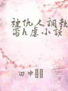 被仇人调教成禁脔h虐小说