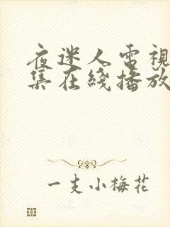 夜迷人电视剧全集在线播放免费观看