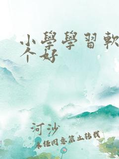 小学学习软件那个好