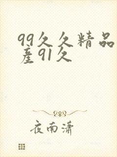 99久久精品国产91久