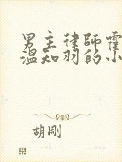 男主律师霍司砚温知羽的小说