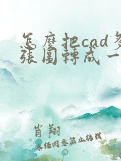 怎么把cad多张图转成一个pdf