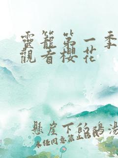 灵笼第一季在线观看樱花