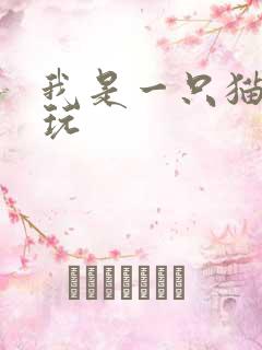 我是一只猫怎么玩