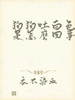 狗狗吐白色泡沫是怎么回事