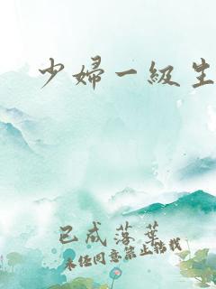 少妇一级生活片