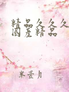 精品久久久久久国产精品