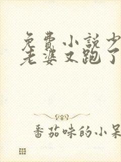 免费小说少帅你老婆又跑了