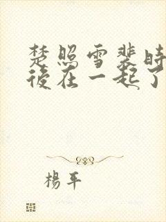 楚照雪裴时安最后在一起了吗