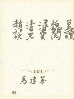 赵清浔魏暮聿小说免费阅读最新章节