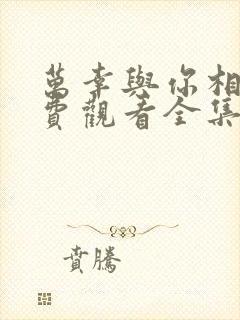 万幸与你相逢免费观看全集