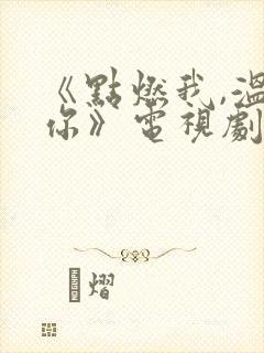 《点燃我,温暖你》电视剧免费观看