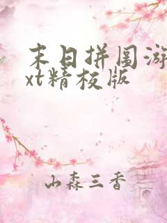 末日拼图游戏txt精校版