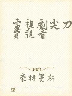 电视剧尖刀队免费观看