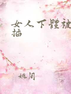 女人下体被男人插
