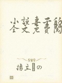 小说妻子的秘密全文免费阅读全文