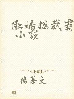 傲娇总裁霸道宠 小说