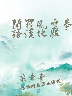 开罗风云拳击物语汉化版