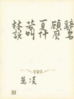 林若夏顾辞舟小说叫什么名字