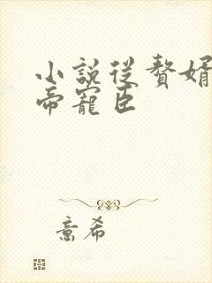 小说从赘婿到女帝宠臣