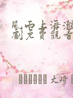 风雨上海滩电视剧免费观看全集在线播放