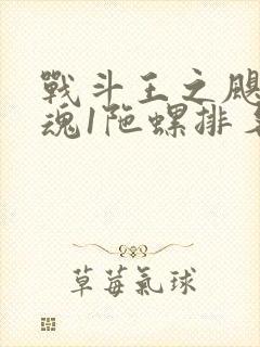 战斗王之飓风战魂1陀螺排名